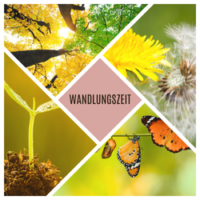 Wandlungszeit